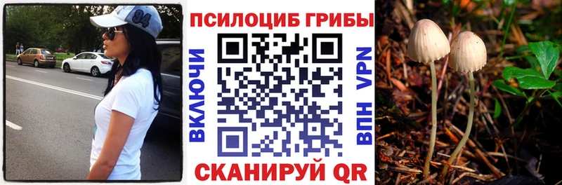 кракен ССЫЛКА Печоры Псилоцибиновые грибы мухоморы где можно купить наркотик